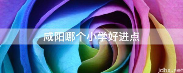 咸阳哪个小学好进点(图1)