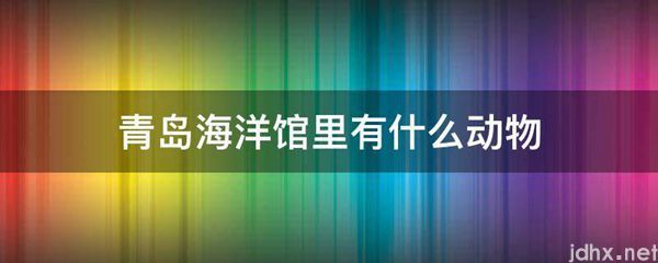 青岛海洋馆里有什么动物(图1)