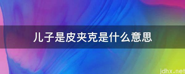 儿子是皮夹克的意思是什么(图1)