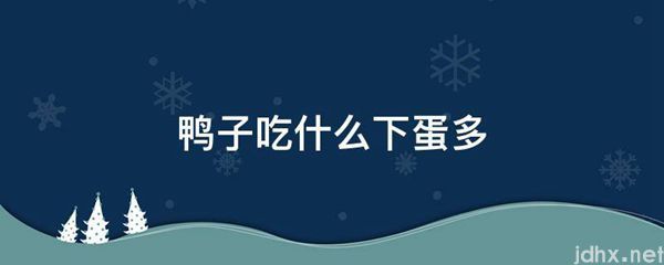 鸭子吃什么下蛋多(图1)