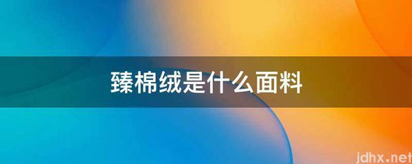 臻棉绒是什么面料(图1)