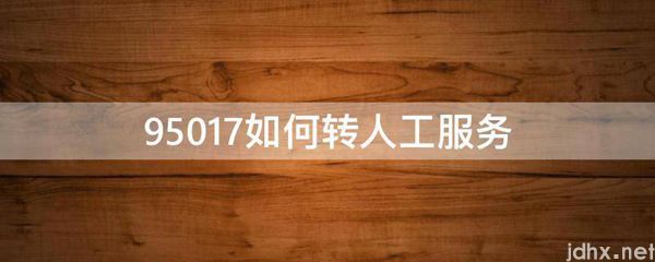95017如何转人工服务(图1)