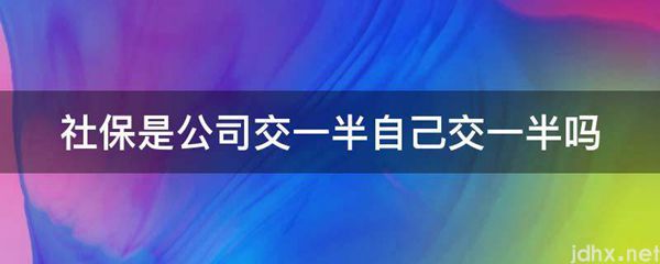 社保是公司交一半自己交一半吗(图1)