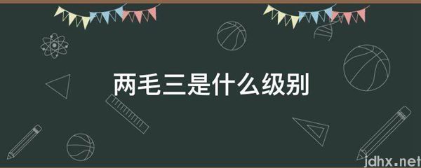 两毛三是什么级别(图1)