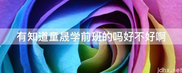 有知道童晟学前班的吗好不好啊(图1)