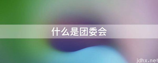 什么是团委会(图1)