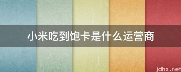 小米吃到饱卡是什么运营商(图1)