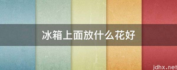 冰箱上面放什么花好(图1)