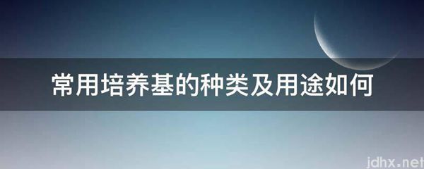 常用培养基的种类及用途如何(图1)