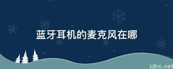 蓝牙耳机的麦克风在哪(图1)