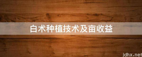 白术种植技术及亩收益(图1)