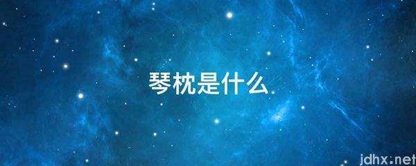 琴枕是什么图片(图1)