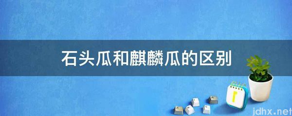 石头瓜和麒麟瓜的区别(图1)
