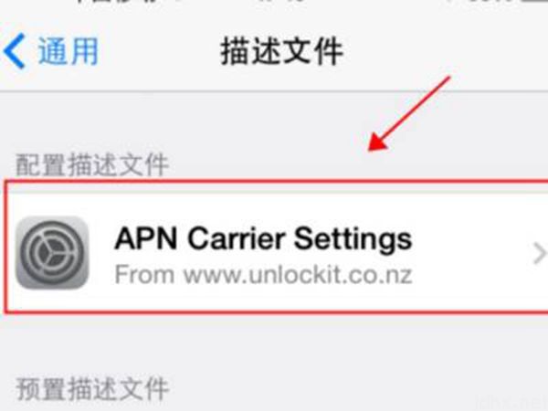 苹果apn设置在哪儿(图5)