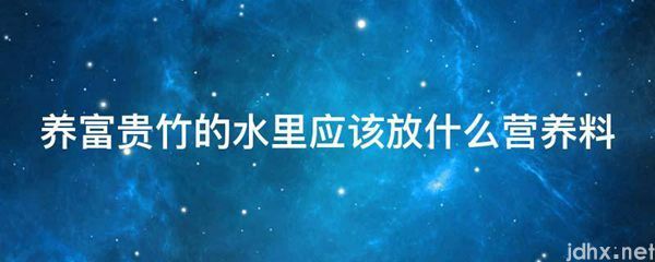 养富贵竹的水里应该放什么营养料(图1)