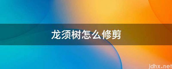 龙须树怎么修剪(图1)
