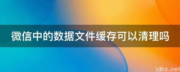 微信中的数据文件缓存可以清理吗(图1)