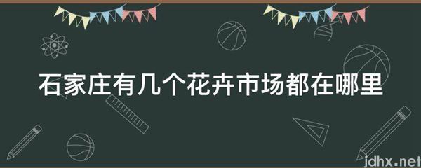石家庄有几个花卉市场都在什么地方(图1)