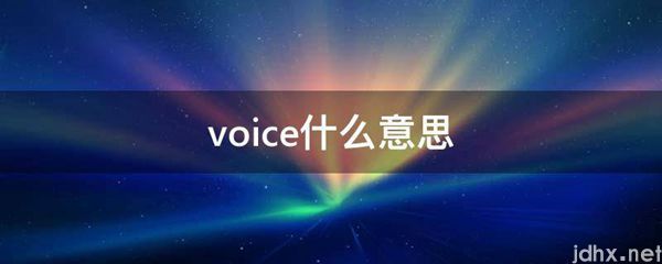 voice什么意思(图1)