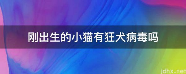 刚出生的小猫有狂犬病毒吗(图1)