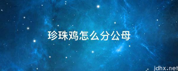 珍珠鸡怎么分公母(图1)