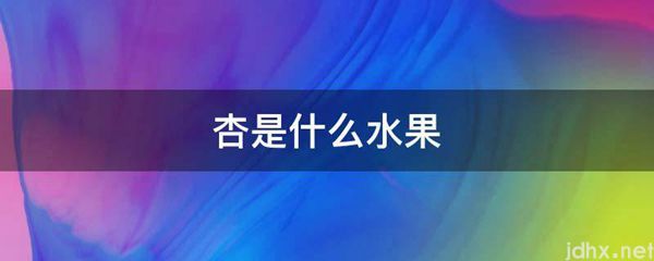 杏是什么水果(图1)