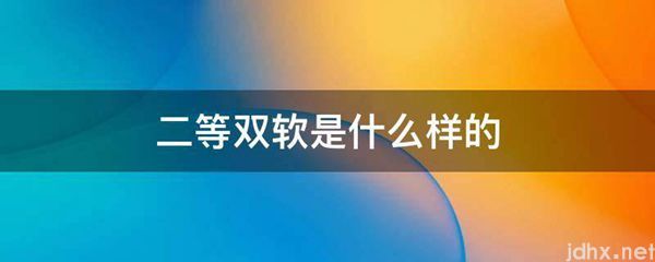 二等双软是什么样的(图1)