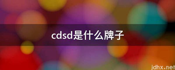 cdsd是什么牌子(图1)