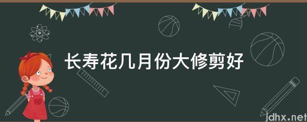 长寿花几月份大修剪好(图1)