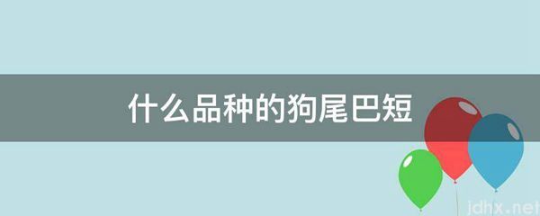 什么品种的狗尾巴短(图1)