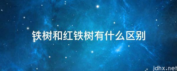 铁树和红铁树有什么区别(图1)