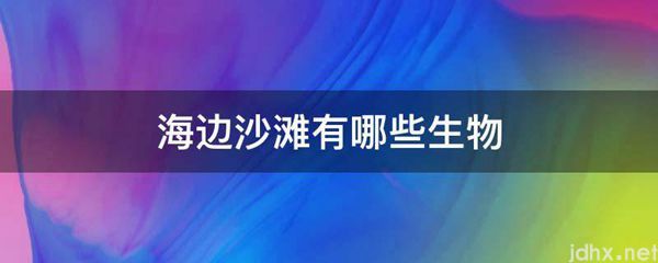 海边沙滩有哪些生物(图1)