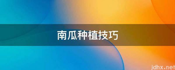 南瓜种植技巧(图1)