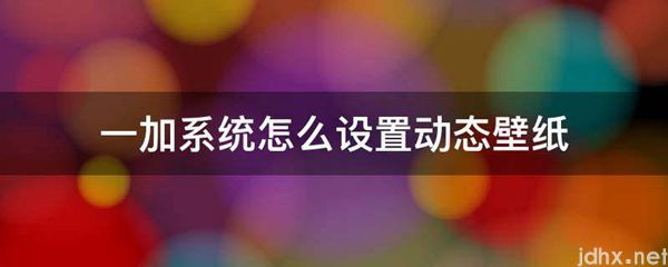 一加系统怎么设置动态壁纸(图1)