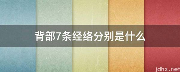背部7条经络分别是什么图片(图1)
