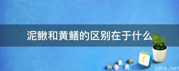 泥鳅和黄鳝的区别在于什么(图1)
