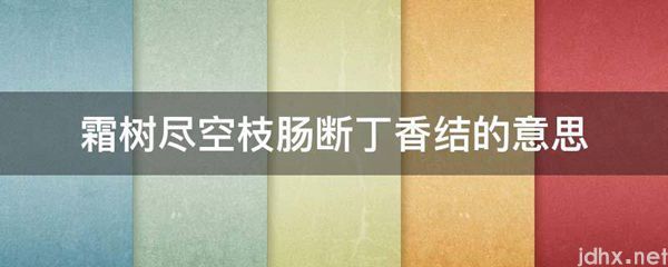 霜树尽空枝肠断丁香结的意思(图1)