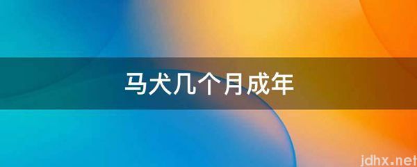 马犬几个月成年(图1)