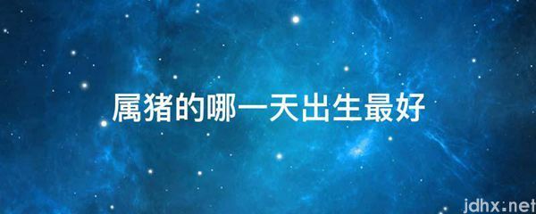 属猪的哪一天出生最好(图1)