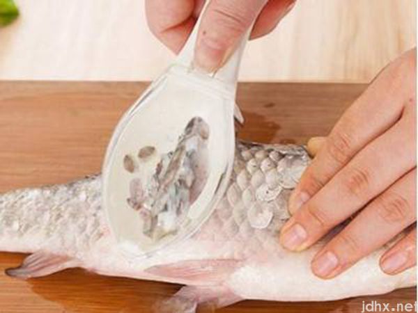 丁桂鱼怎样去除鱼鳞(图3)