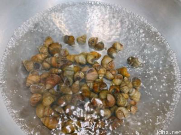 螺丝肉怎么清洗才能清洗干净(图5)