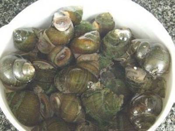 螺丝肉怎么清洗才能清洗干净(图6)