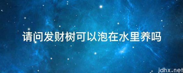 请问发财树可以泡在水里养吗(图1)