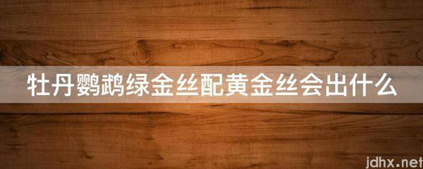 牡丹鹦鹉绿金丝配黄金丝会出什么(图1)