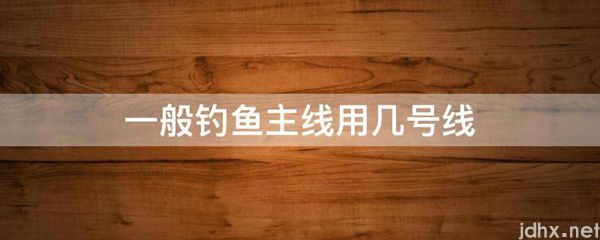 一般钓鱼主线用几号线(图1)