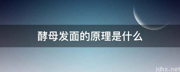 酵母发面的原理是什么图片(图1)