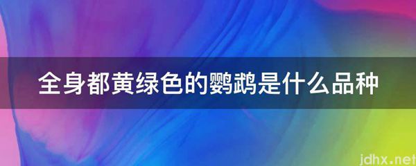全身都黄绿色的鹦鹉是什么品种(图1)