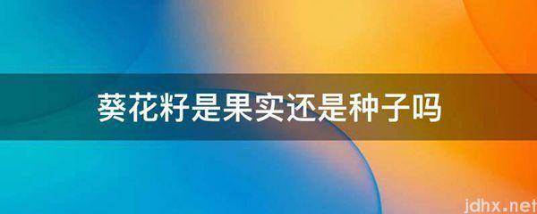 葵花籽是果实还是种子吗(图1)