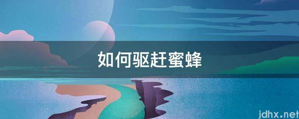 如何驱赶蜜蜂(图1)