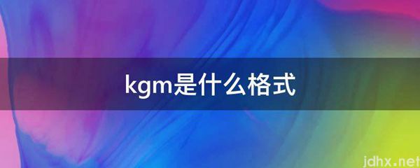 kgm是什么格式(图1)